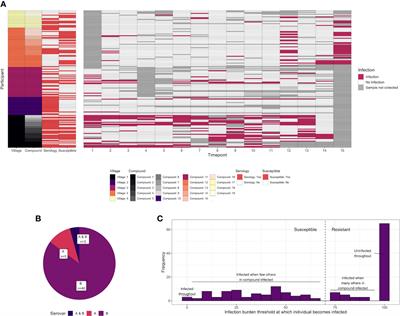 A systems serology approach to the investigation of infection-induced antibody responses and protection in trachoma